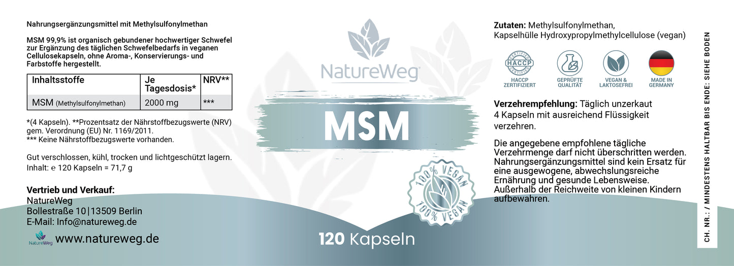 MSM